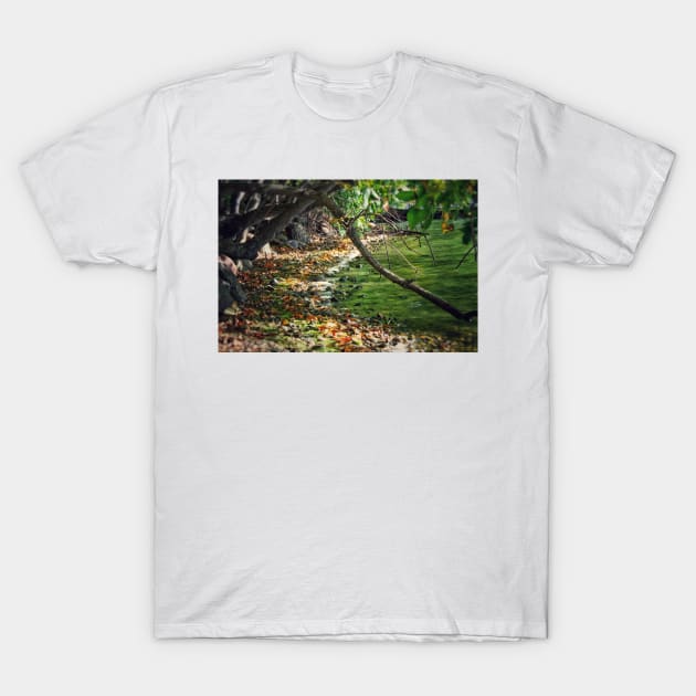 Myers Big Island State Park T-Shirt by Isla Creek Casuals